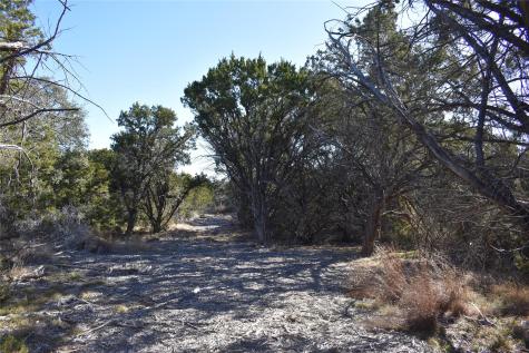 Lot 35 Riparian Elm Road Bertram TX 78605