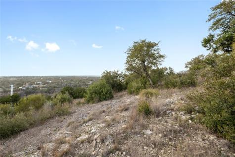 1724 Night Life Cove Spicewood TX 78669