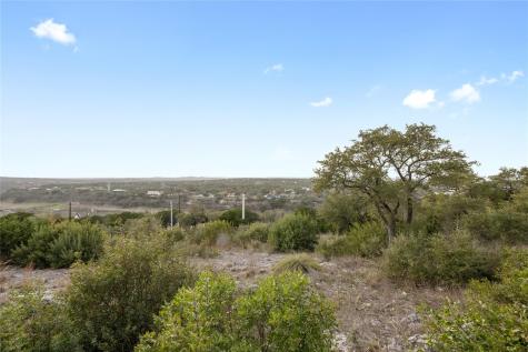 1724 Night Life Cove Spicewood TX 78669
