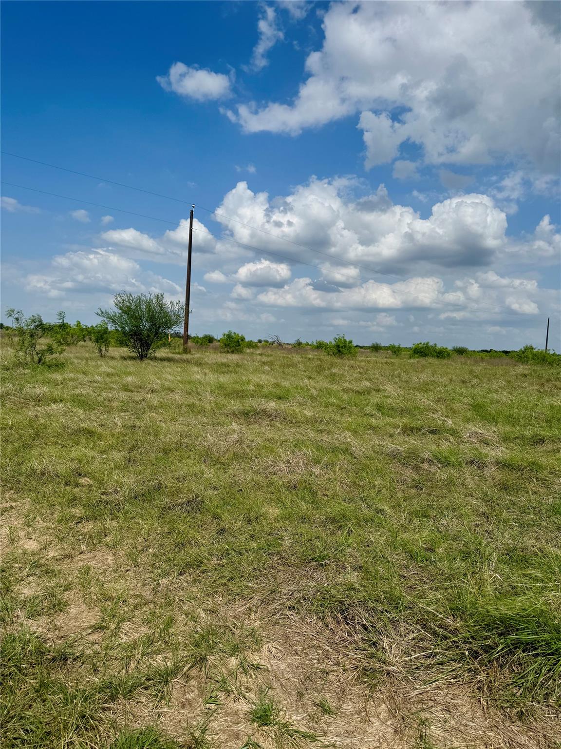 Tbd Lot 14 Cr 473 Thrall TX 76578