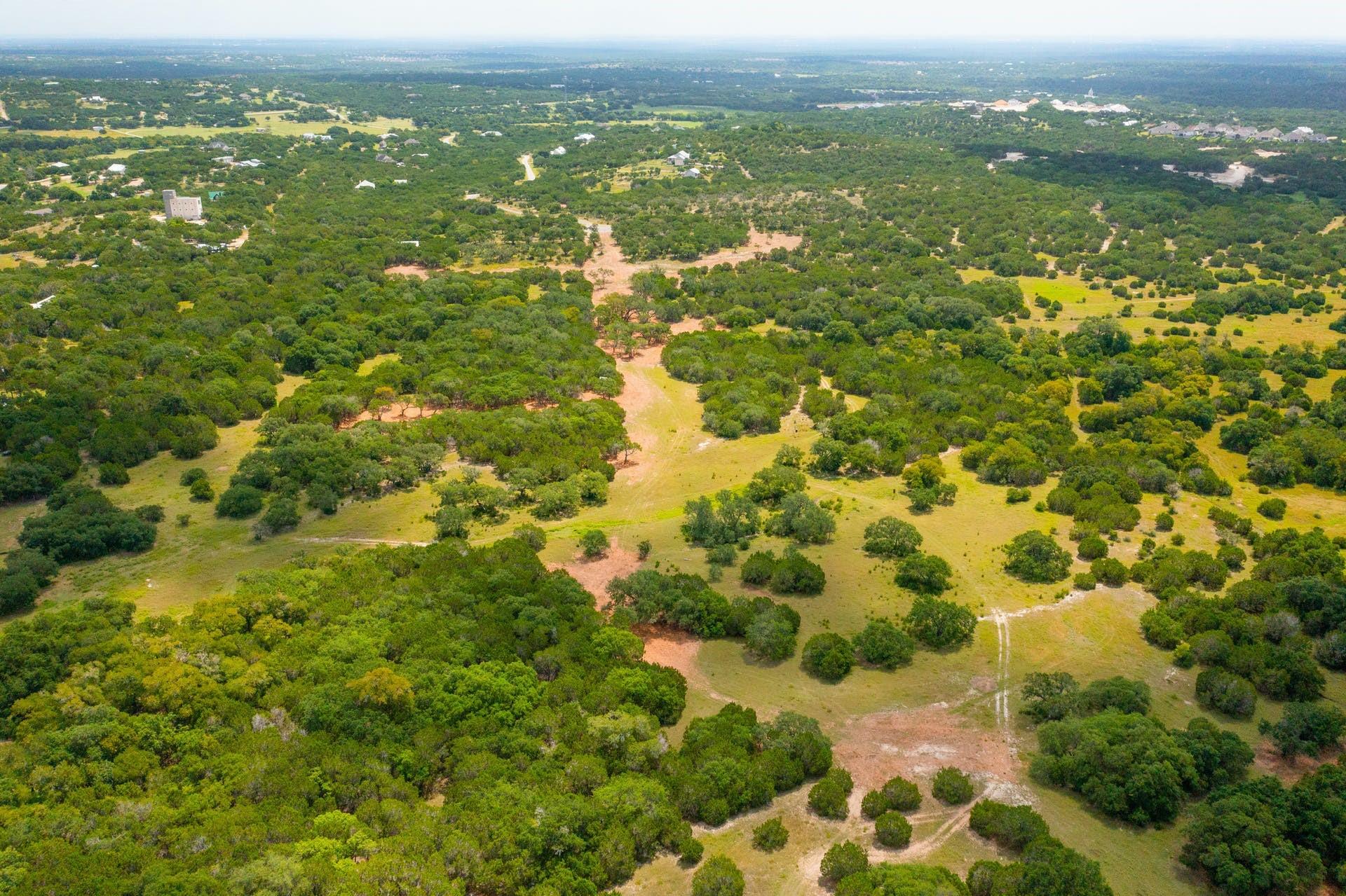 234 Zonetail Cove Austin TX 78737