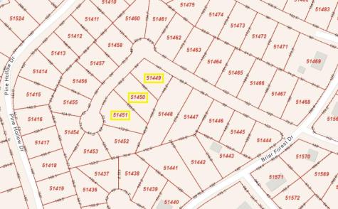 Lot 56 Akala Lane Bastrop TX 78602