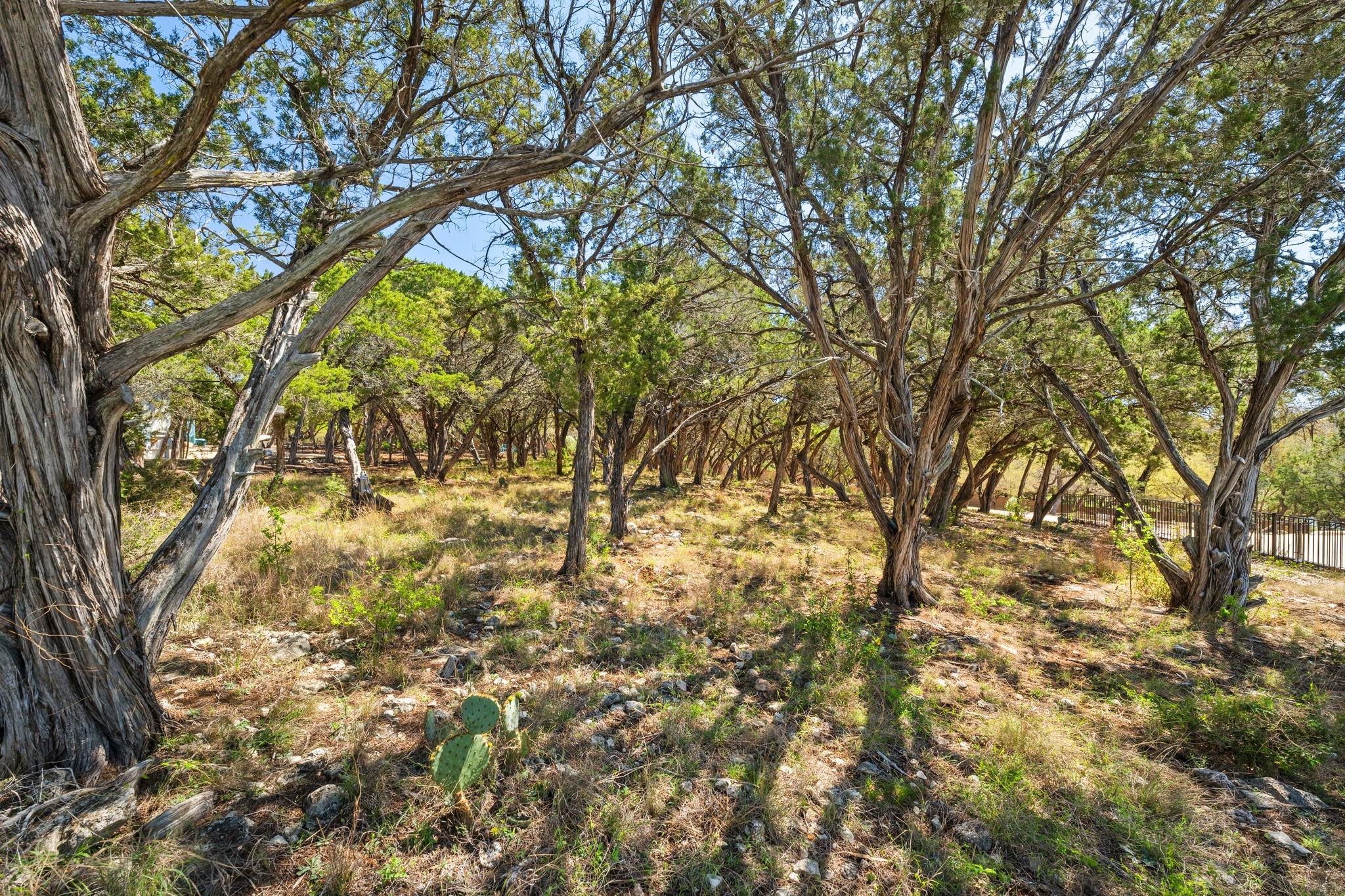 5304 Canyon Oaks Drive Lago Vista TX 78645