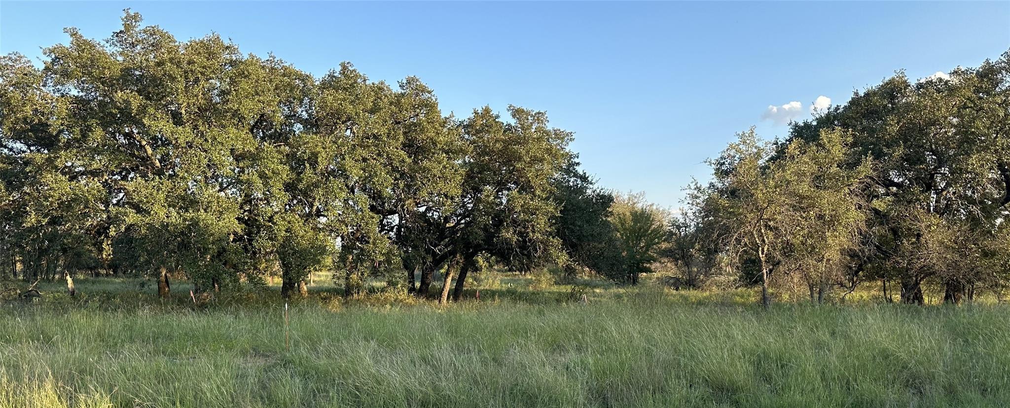 Tbd Safe Harbor Drive Brownwood TX 76801