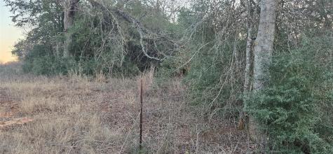 314 County Road Lot 8 Tbd Road Rockdale TX 76567