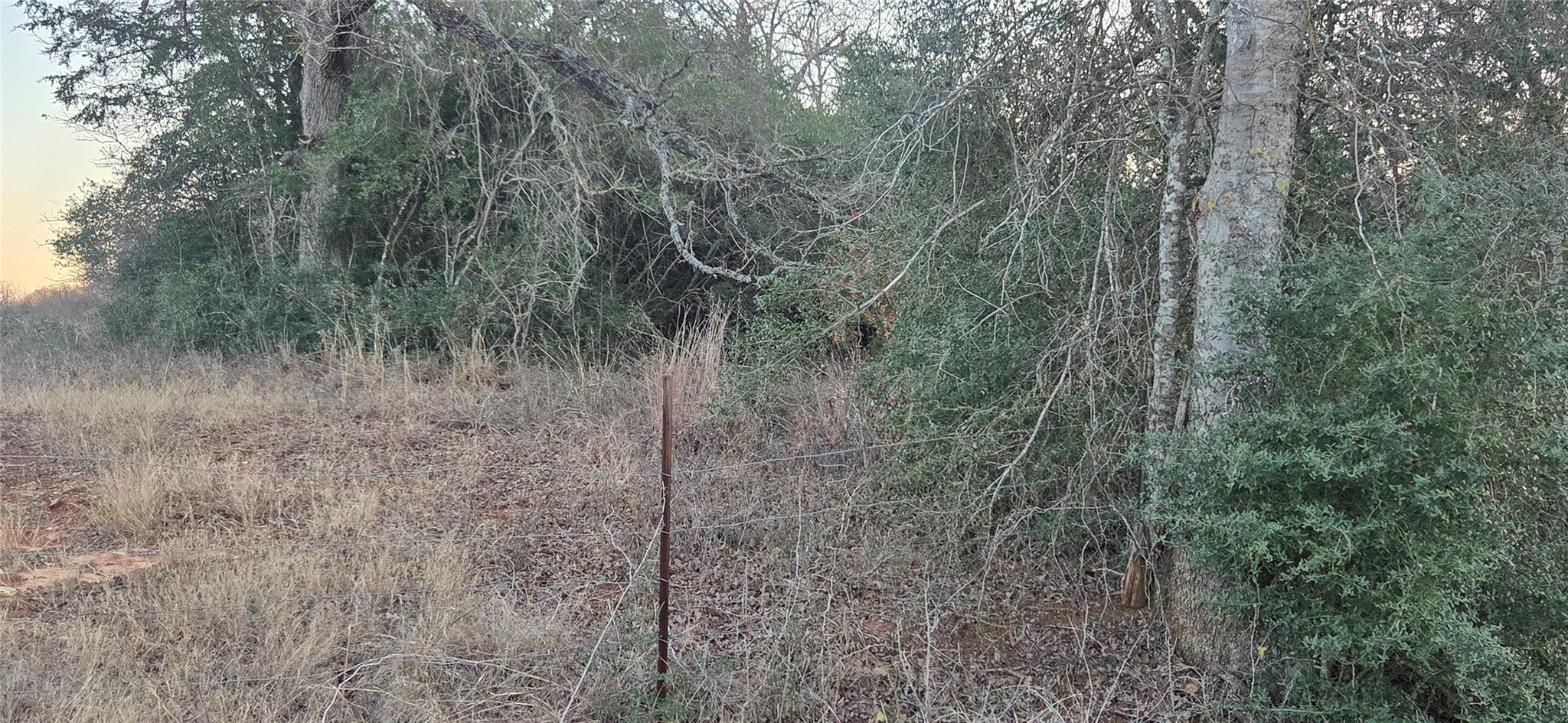 314 County Road Lot 8 Tbd Road Rockdale TX 76567