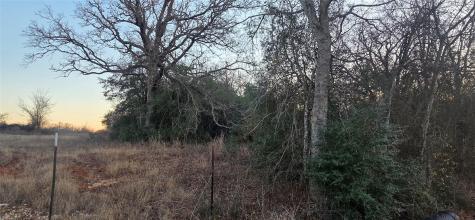 314 County Road Lot 8 Tbd Road Rockdale TX 76567