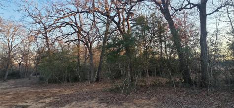 314 County Road Lot 8 Tbd Road Rockdale TX 76567