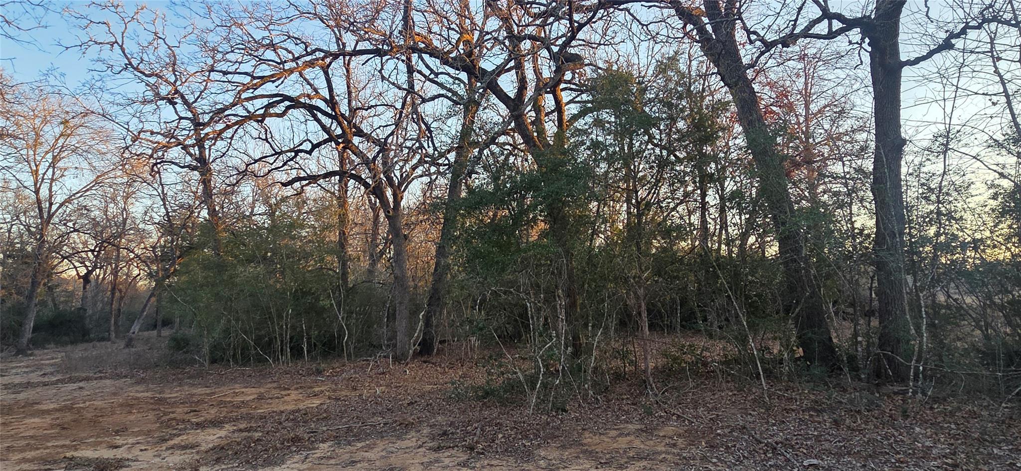 314 County Road Lot 8 Tbd Road Rockdale TX 76567