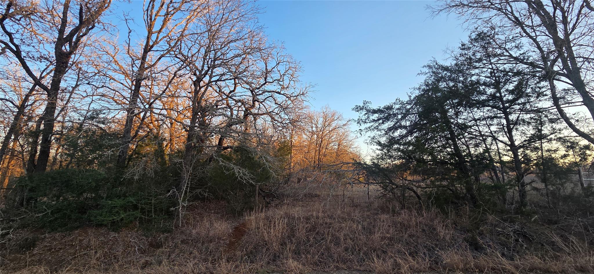 314 County Road Lot 8 Tbd Road Rockdale TX 76567