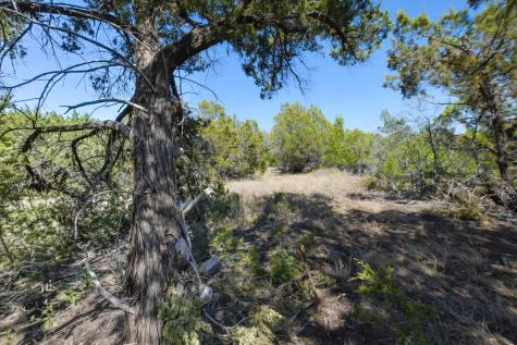 370-B Kothman Road Dripping Springs TX 78620