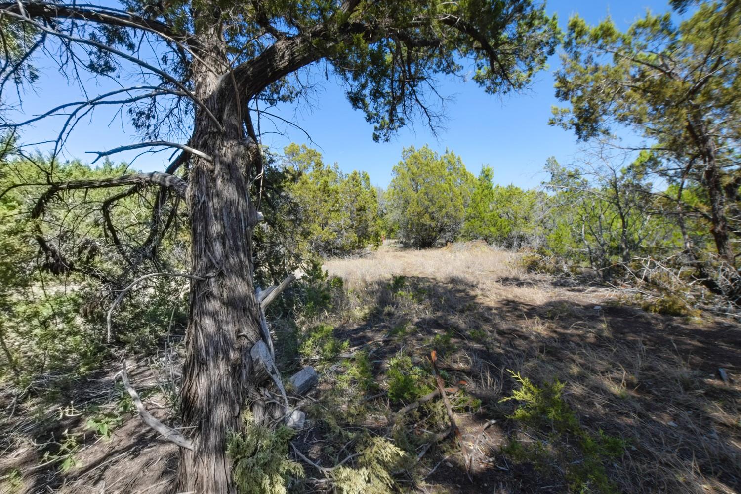 370-B Kothman Road Dripping Springs TX 78620