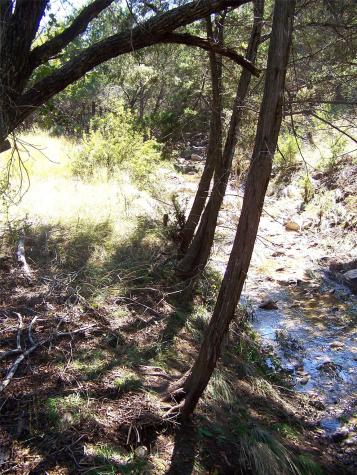370-B Kothman Road Dripping Springs TX 78620