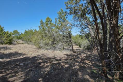 370-B Kothman Road Dripping Springs TX 78620
