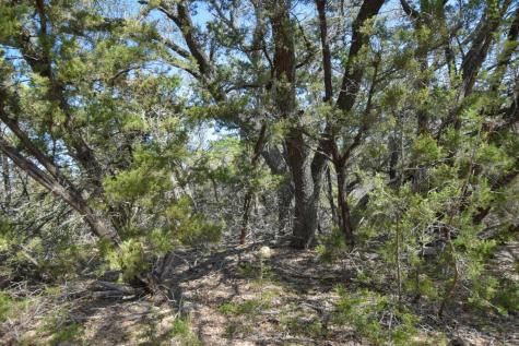 370-B Kothman Road Dripping Springs TX 78620