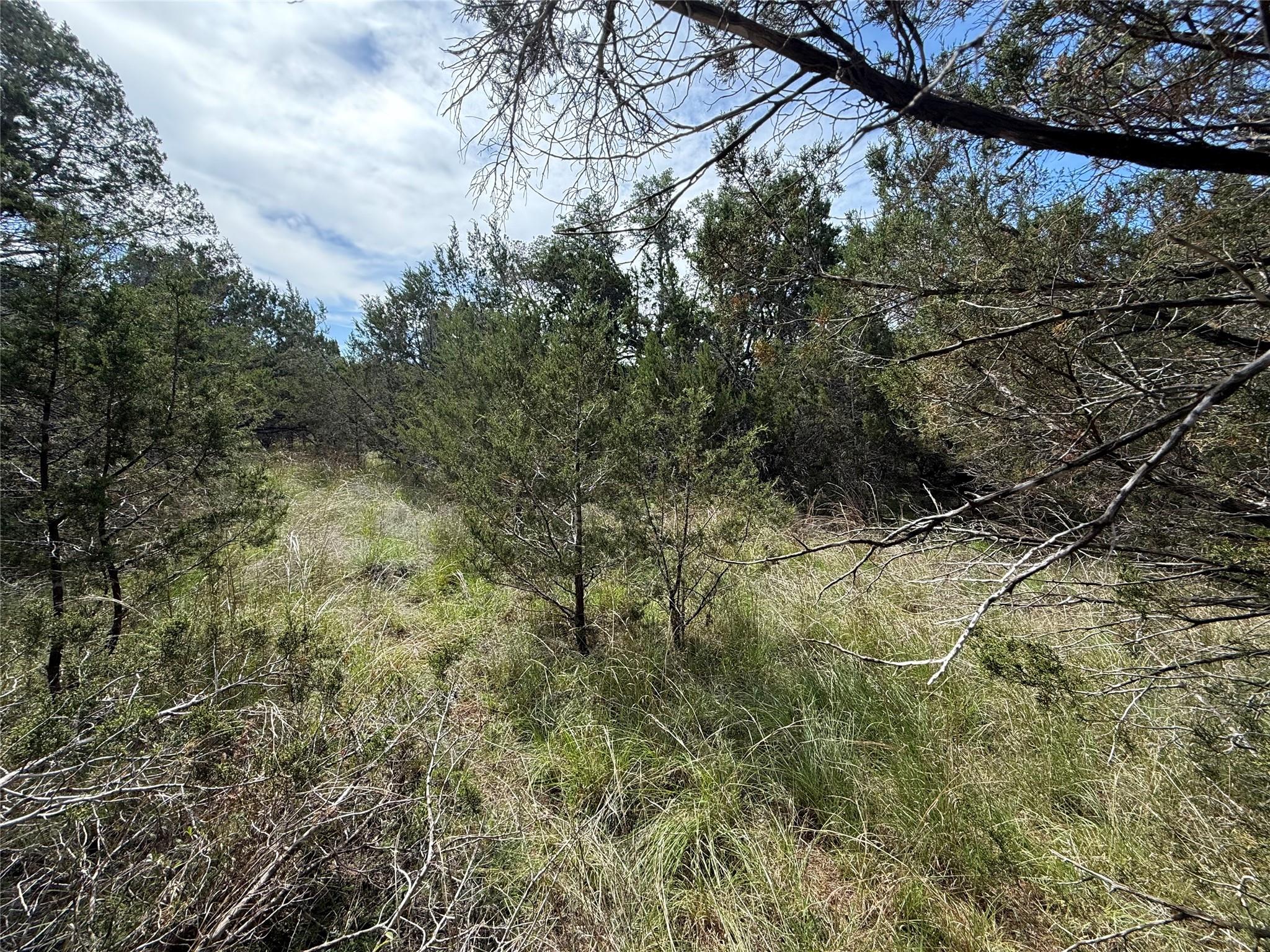 38 Heathrow Lane Wimberley TX 78676