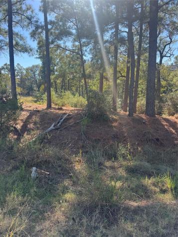 Lot 97 Kaelepulu Drive Bastrop TX 78602