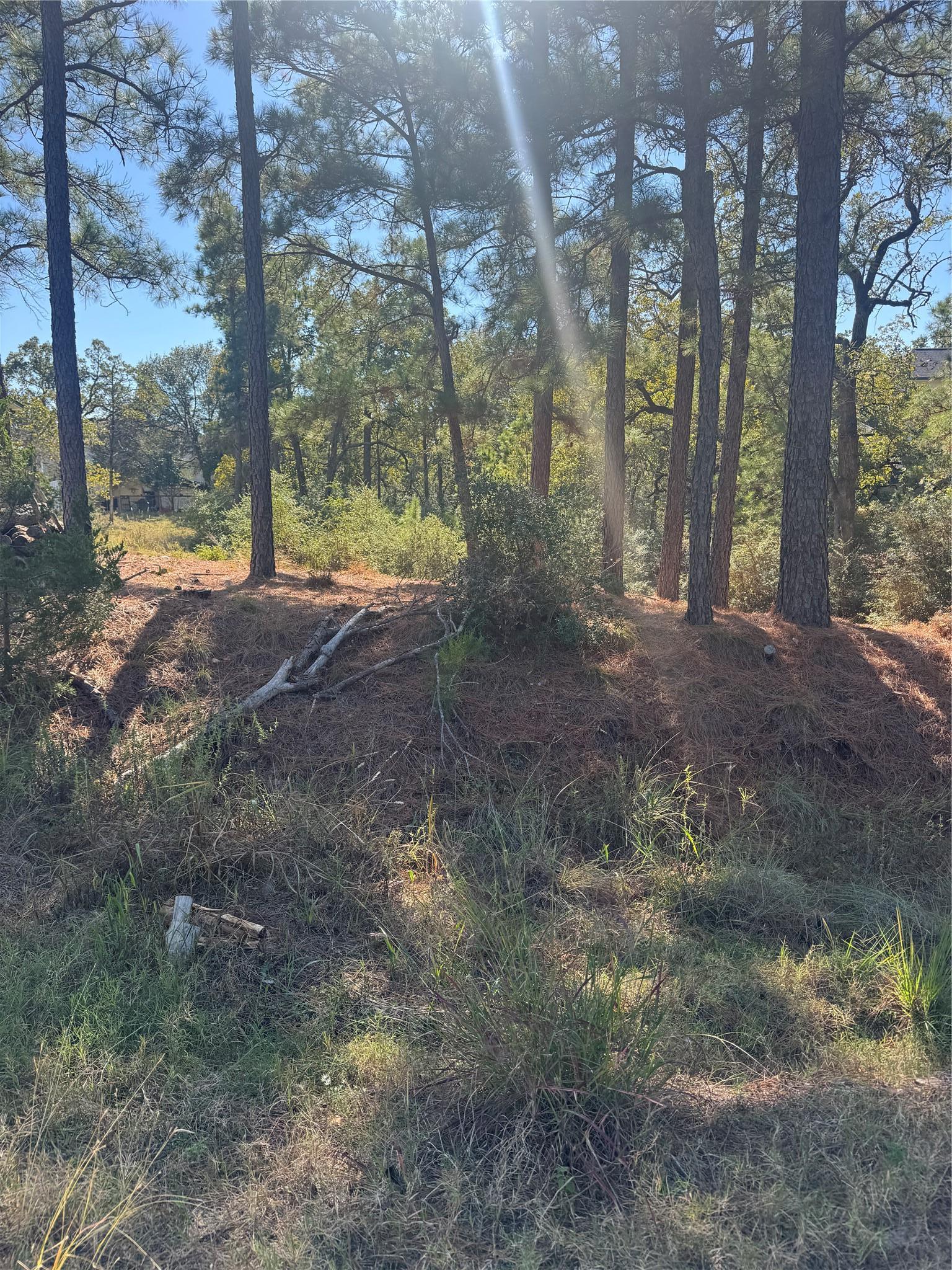 Lot 97 Kaelepulu Drive Bastrop TX 78602