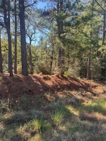 Lot 97 Kaelepulu Drive Bastrop TX 78602