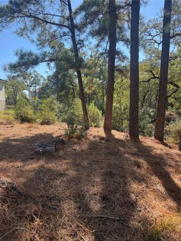 Lot 97 Kaelepulu Drive Bastrop TX 78602