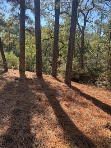 Lot 97 Kaelepulu Drive Bastrop TX 78602