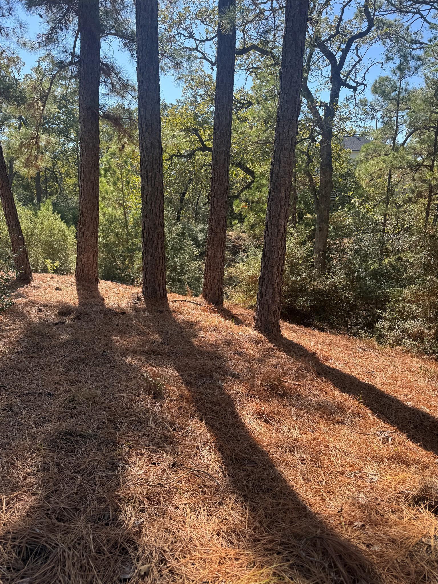 Lot 97 Kaelepulu Drive Bastrop TX 78602