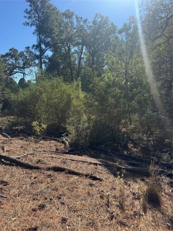Lot 97 Kaelepulu Drive Bastrop TX 78602