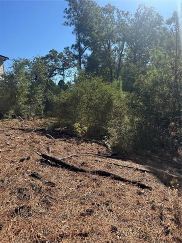 Lot 97 Kaelepulu Drive Bastrop TX 78602