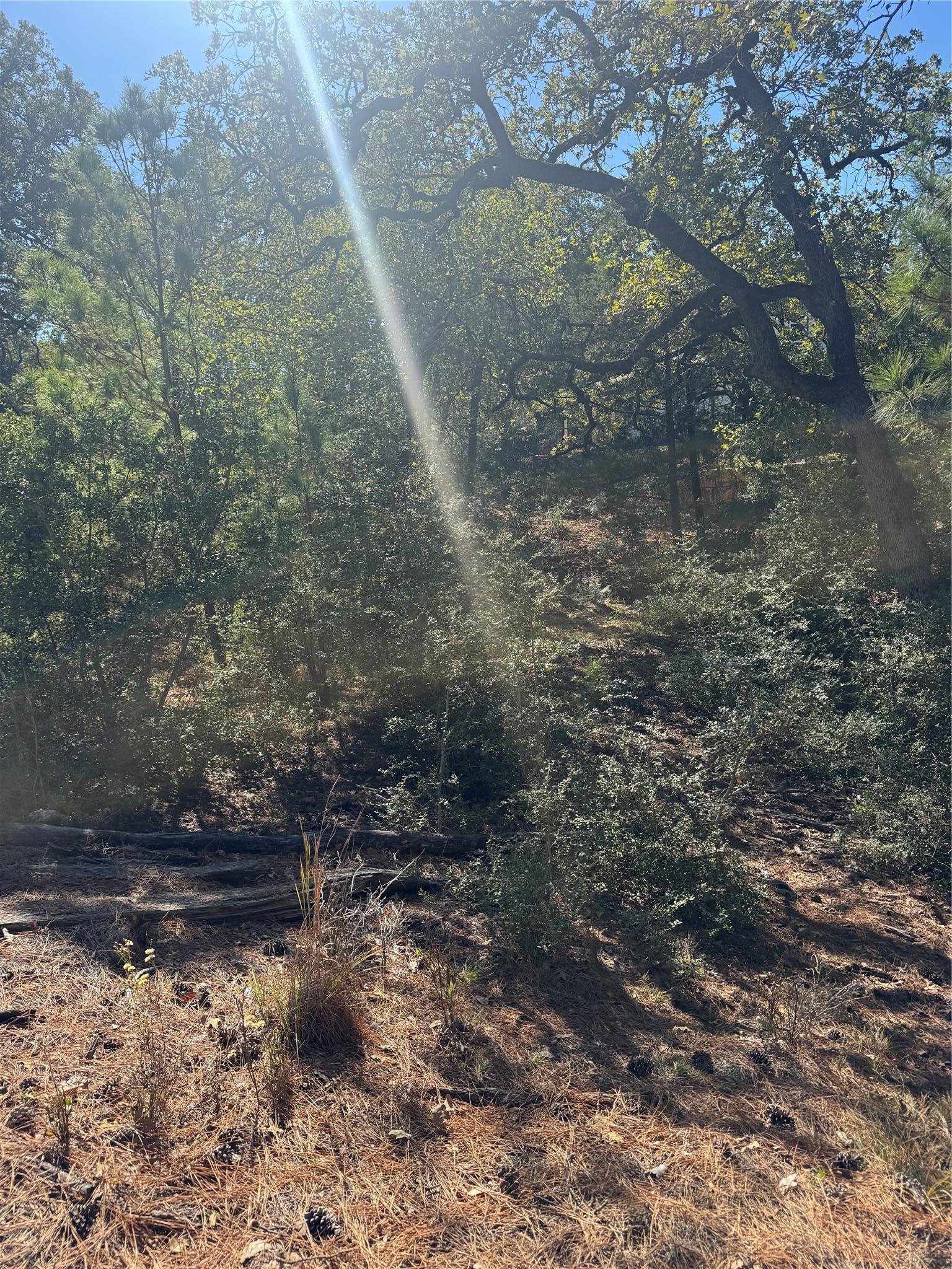 Lot 97 Kaelepulu Drive Bastrop TX 78602