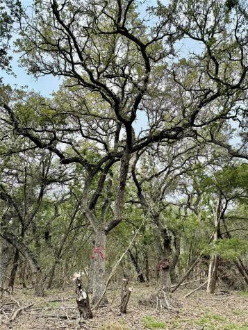 202, 204, 208 Thomas Oaks Drive Wimberley TX 78676
