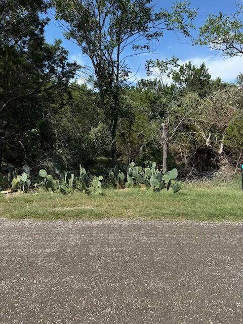 000 Elf Trail Belton TX 76513