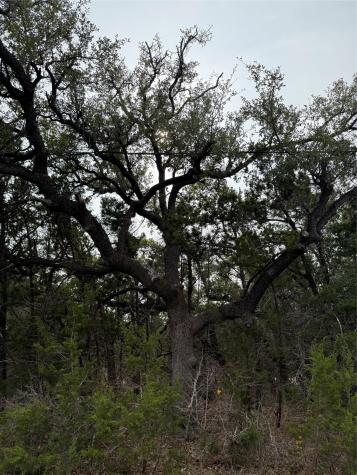 Tbd Lot 1 Pump Station Road Wimberley TX 78676