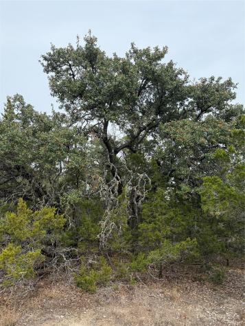 Tbd Lot 1 Pump Station Road Wimberley TX 78676