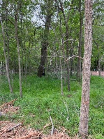 225 Kahana Lane Bastrop TX 78602