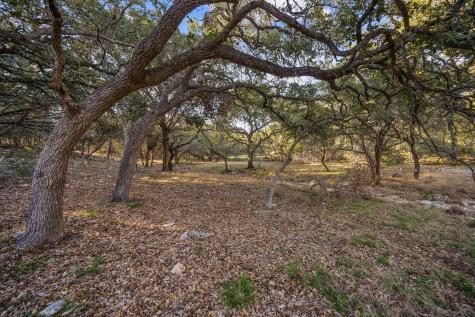 539 Clay Ridge Canyon Lake TX 78133