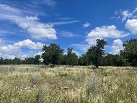 Lot 65 Estate View Circle Lampasas TX 76550
