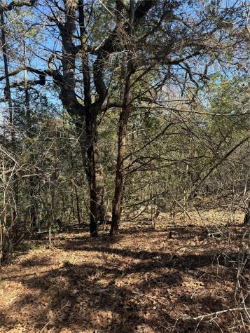 Lot 321 Keneka Lane Bastrop TX 78602