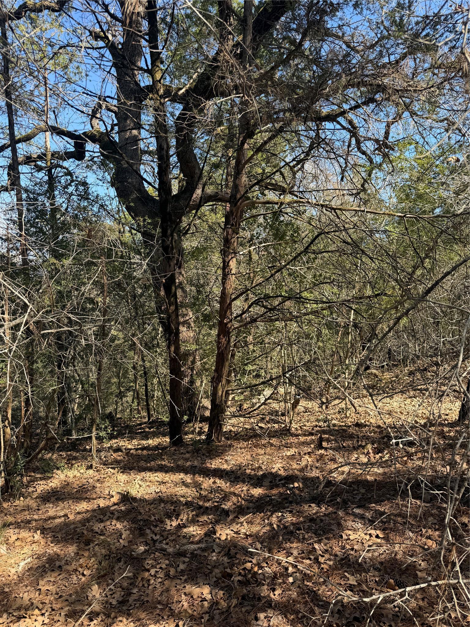 Lot 321 Keneka Lane Bastrop TX 78602