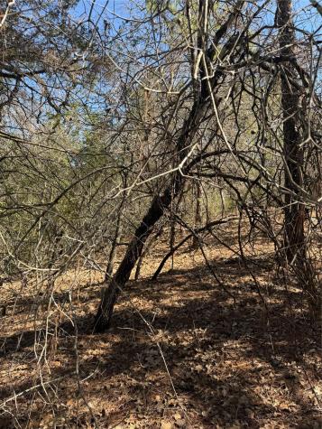 Lot 321 Keneka Lane Bastrop TX 78602