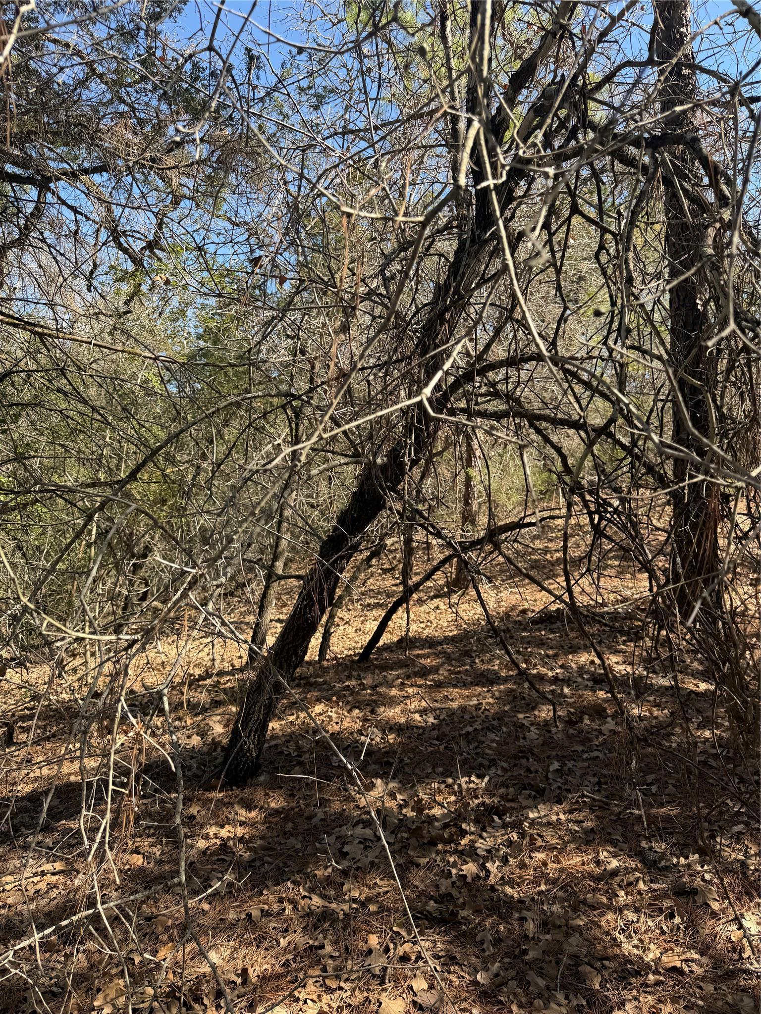 Lot 321 Keneka Lane Bastrop TX 78602