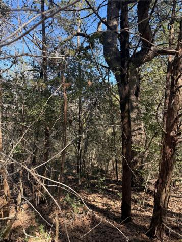 Lot 321 Keneka Lane Bastrop TX 78602