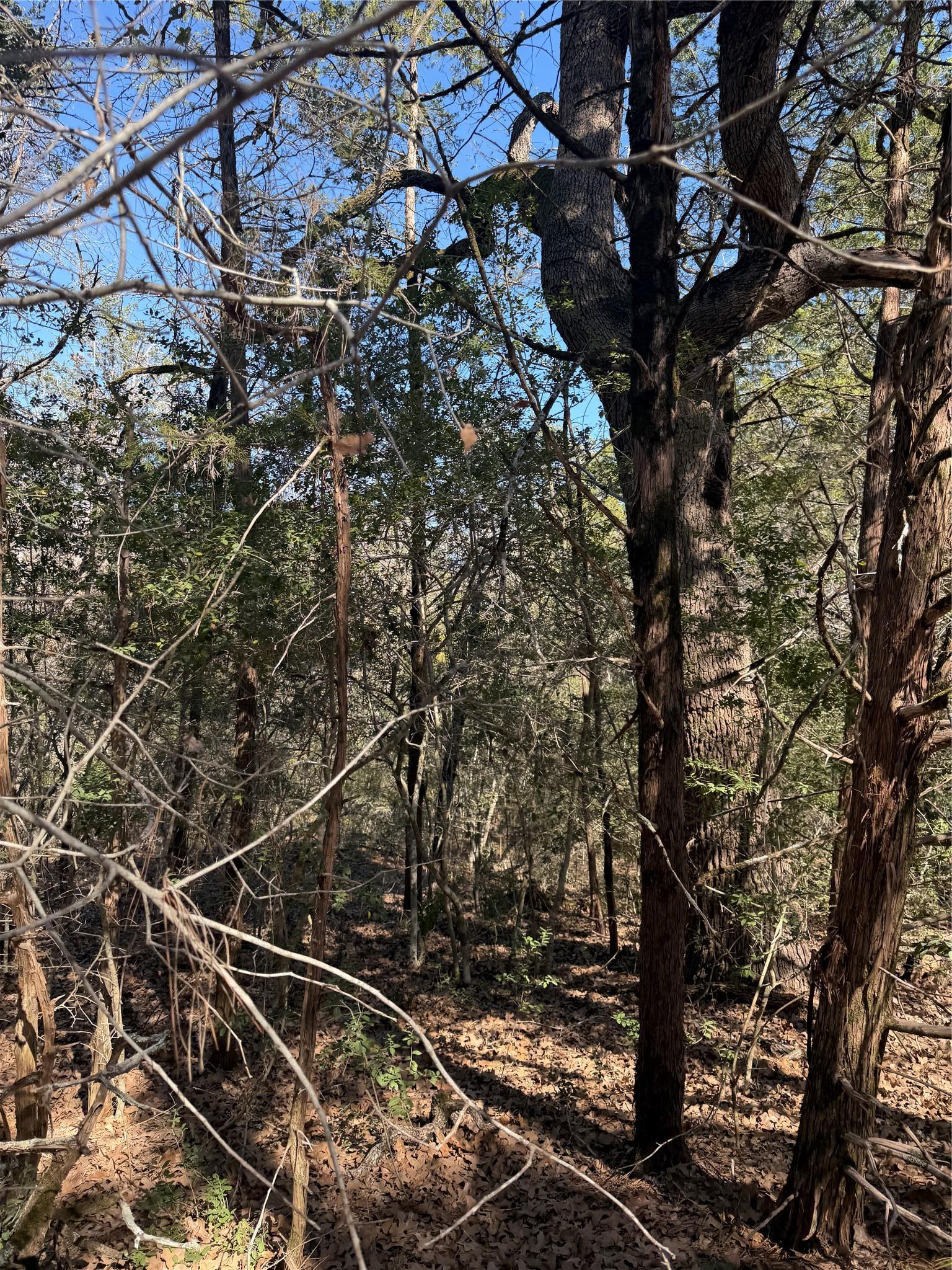 Lot 321 Keneka Lane Bastrop TX 78602