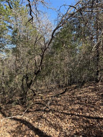 Lot 321 Keneka Lane Bastrop TX 78602