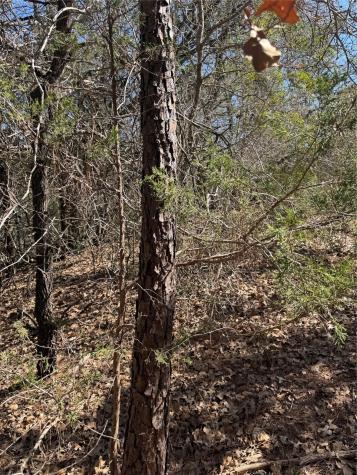 Lot 321 Keneka Lane Bastrop TX 78602