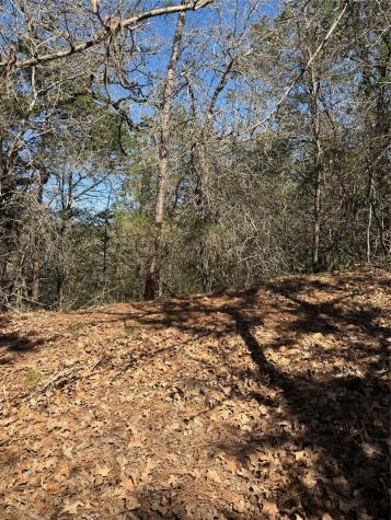 Lot 321 Keneka Lane Bastrop TX 78602