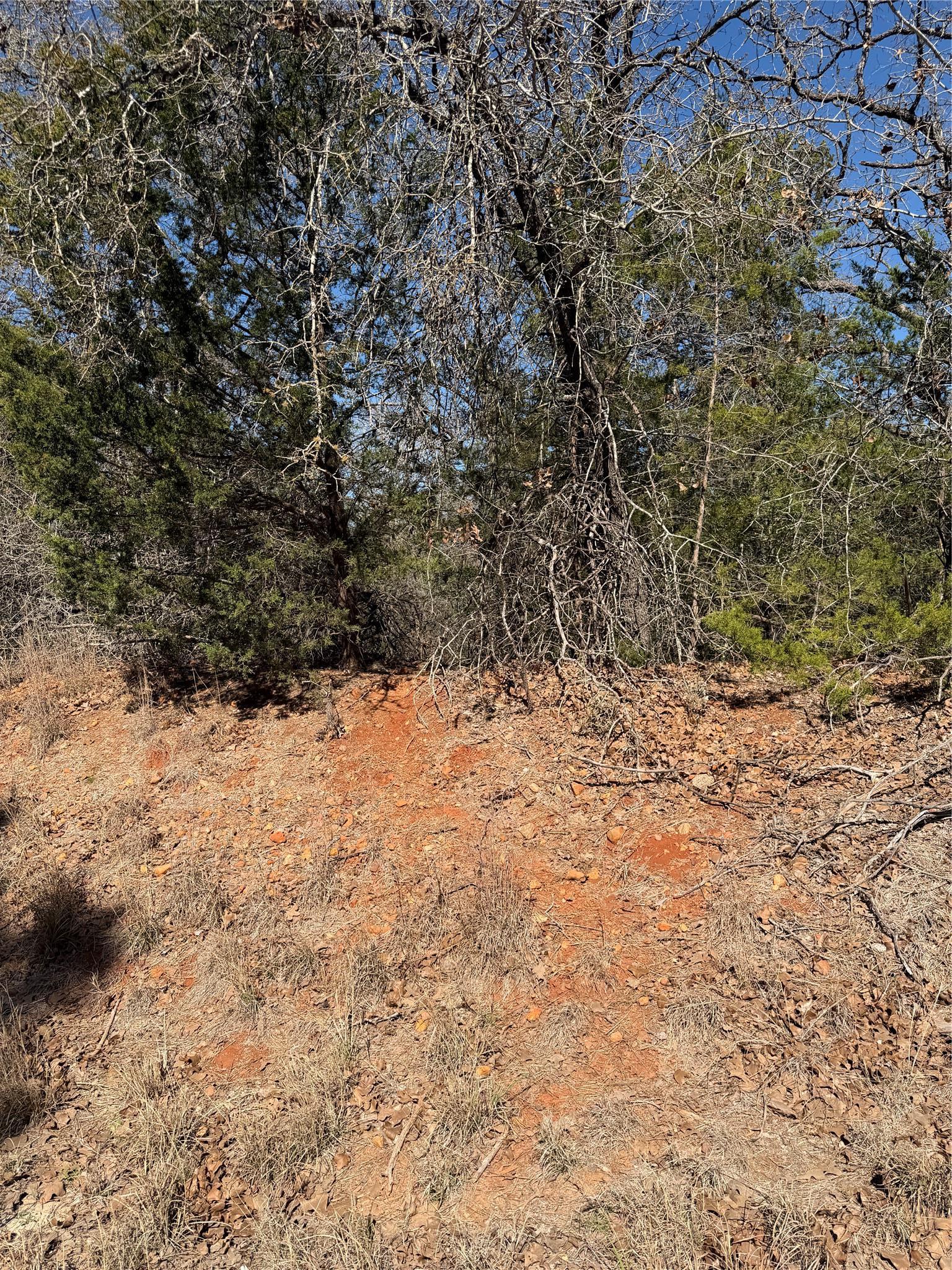 Lot 321 Keneka Lane Bastrop TX 78602