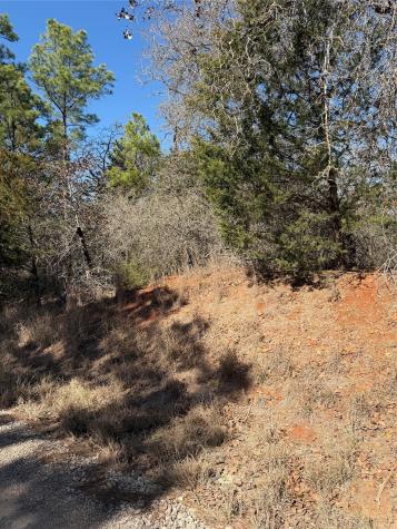 Lot 321 Keneka Lane Bastrop TX 78602