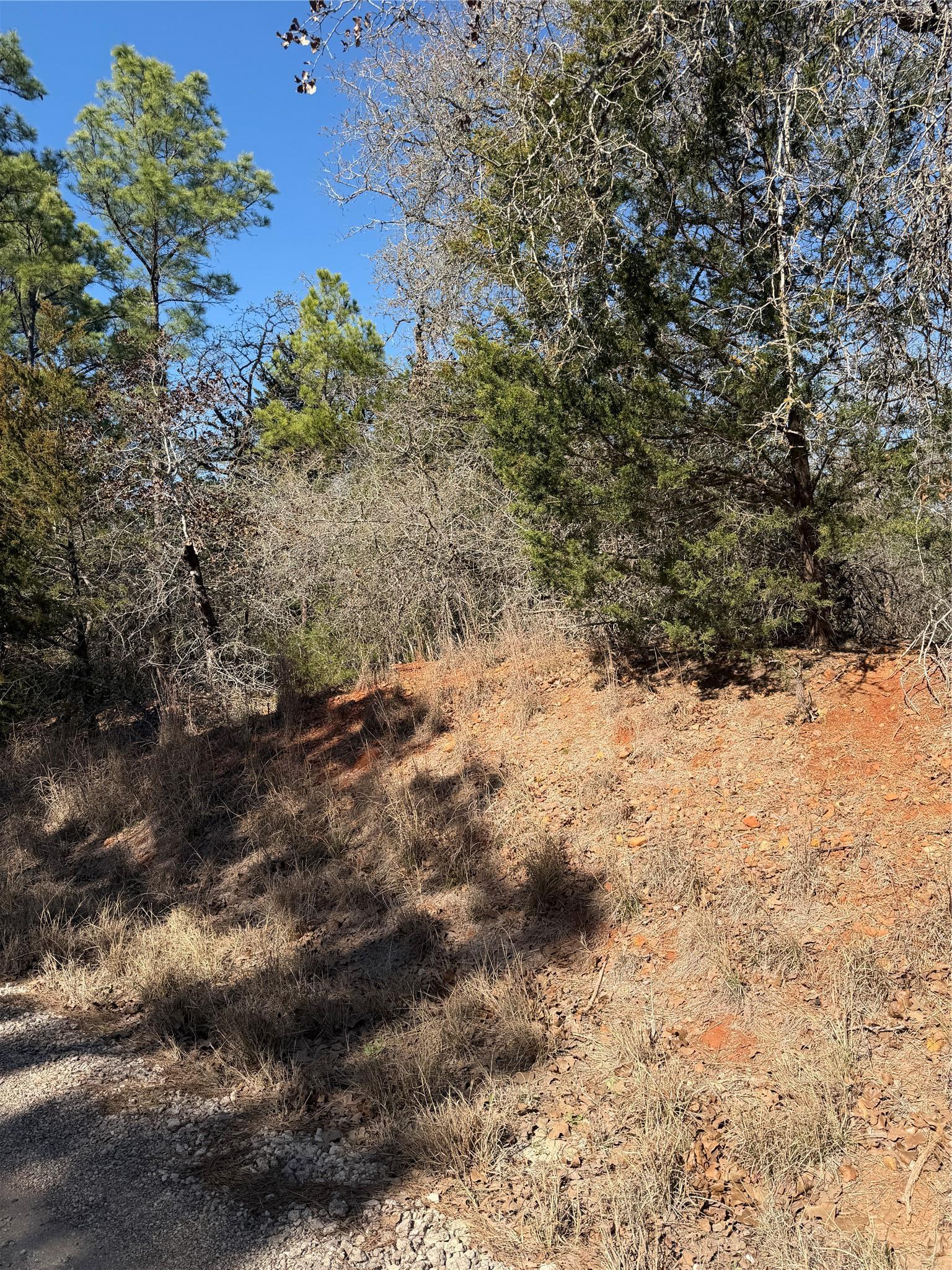 Lot 321 Keneka Lane Bastrop TX 78602
