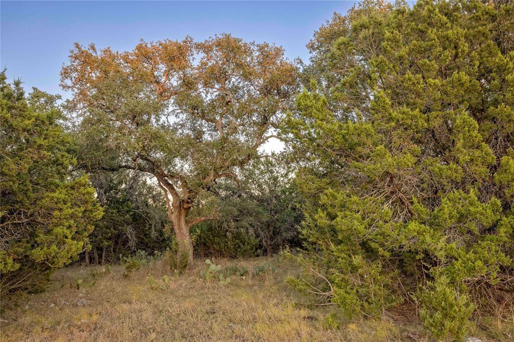Lot 69 Mourning Dove Lane Lampasas TX 76550