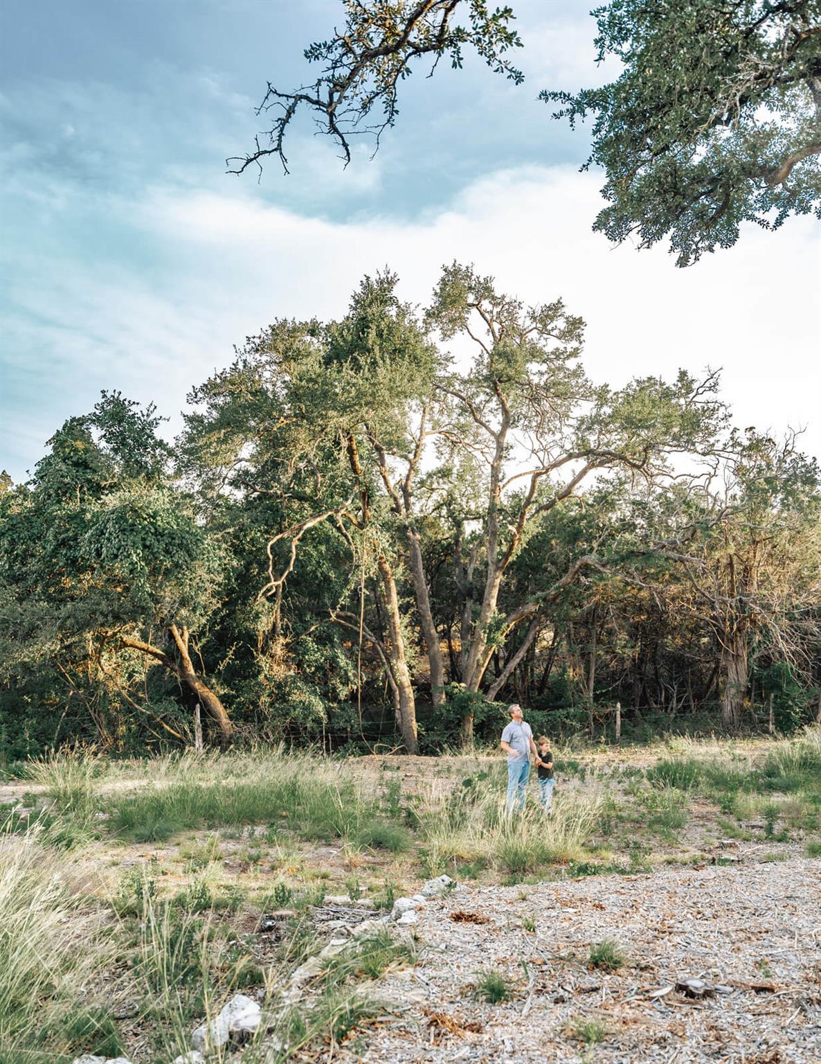 17650-A Hamilton Pool Road Austin TX 78738